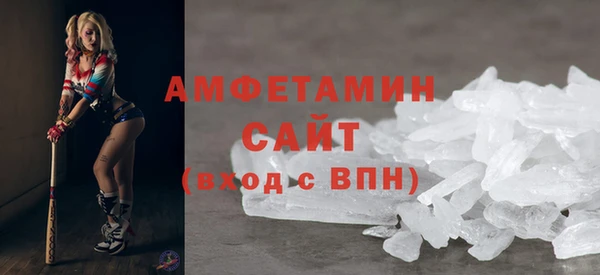 прущие грибы Алзамай