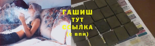 прущие грибы Алзамай