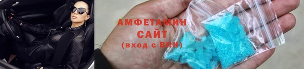 прущие грибы Алзамай