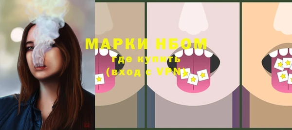 прущие грибы Алзамай