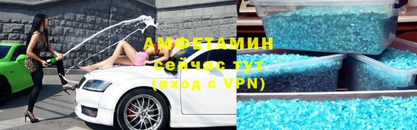 прущие грибы Алзамай